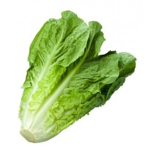 خس حبة