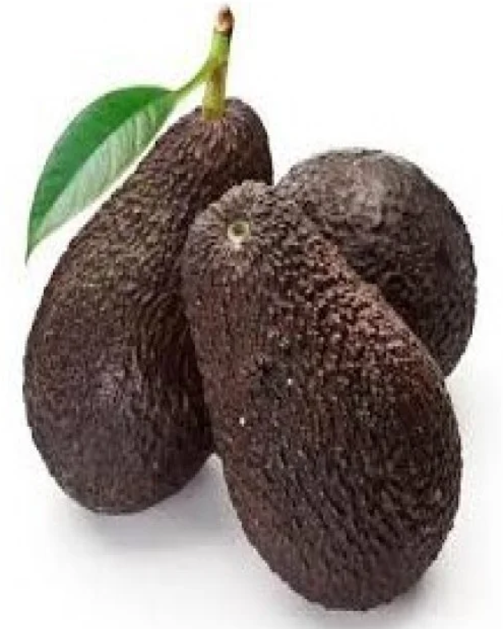 افوكادو اسود 0.5 كيلو